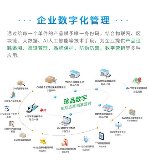 賦能管理，驅(qū)動未來 珍品數(shù)字發(fā)布全新企業(yè)數(shù)字化解決方案與數(shù)據(jù)處理服務(wù)